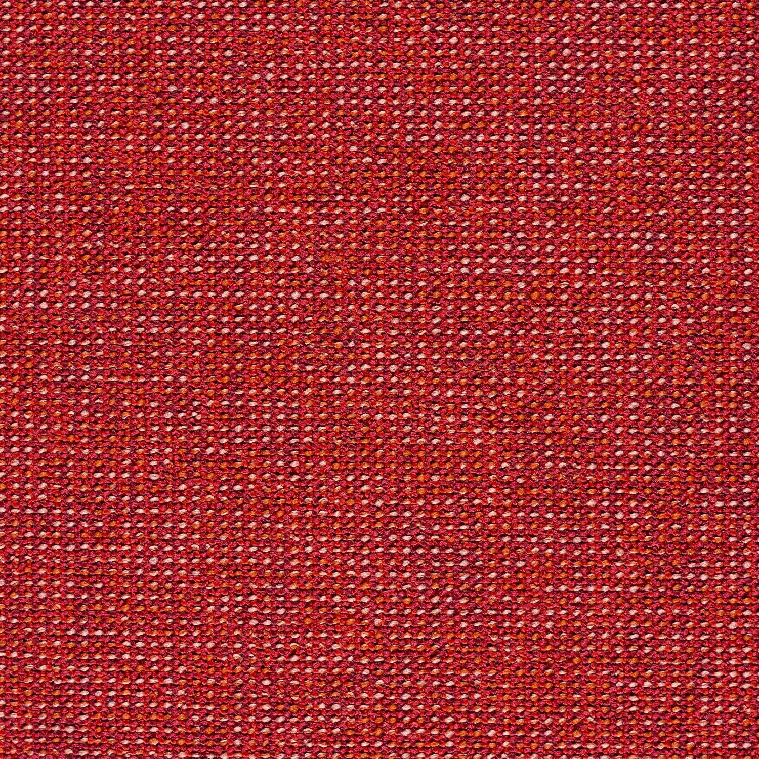 Adage - Rubelite - 4069 - 10 - Half Yard