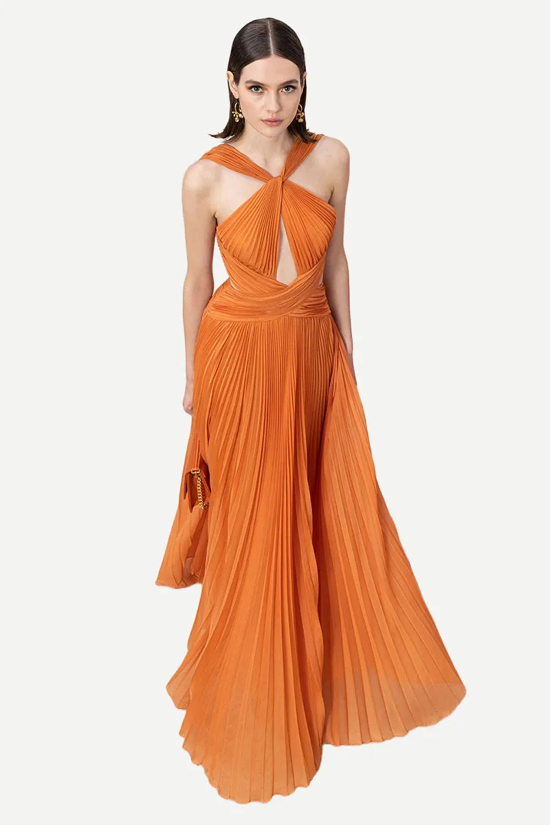 Arabella Chiffon Backless Maxi Dress