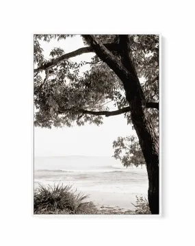 Australian Coast III | Framed Canvas Art Print