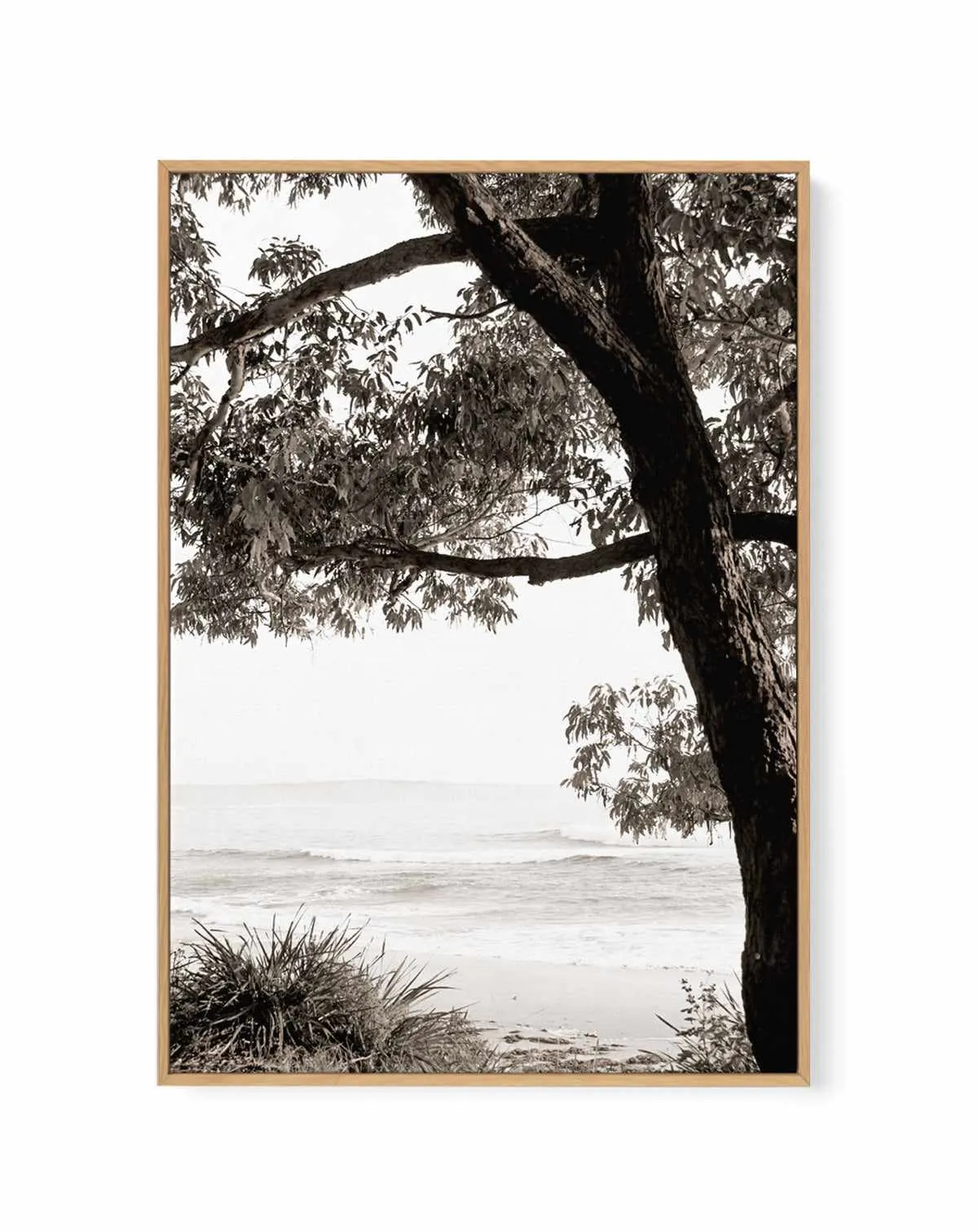 Australian Coast III | Framed Canvas Art Print