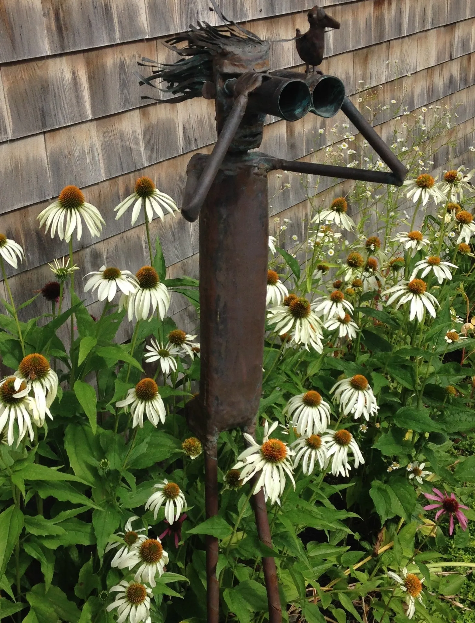 Binocular Figure with Bird