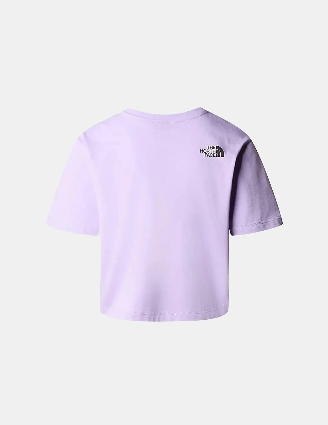 Camiseta The North Face Cropped Fine Lilac