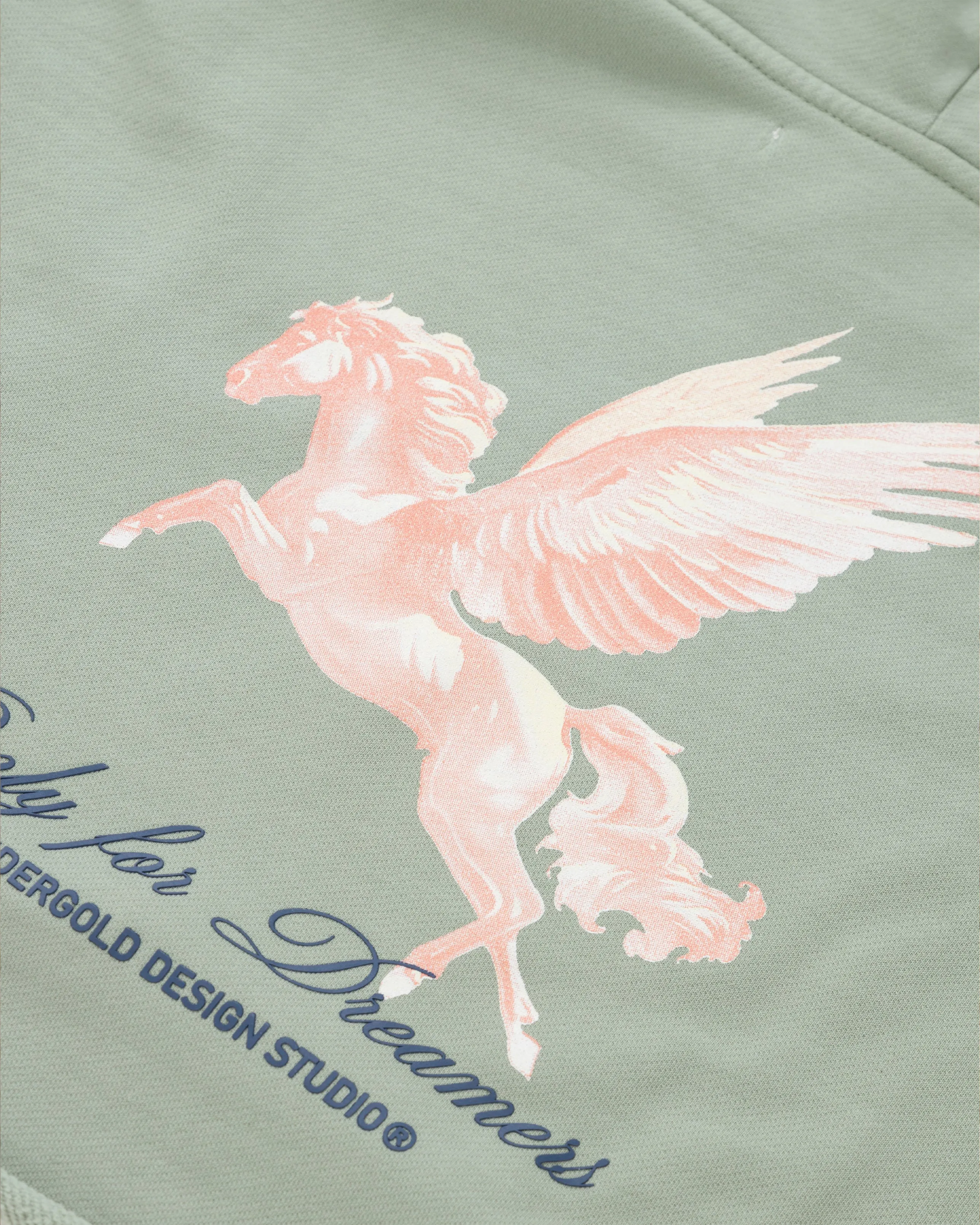 Dreamers Pegasus Cropped Hoodie Green