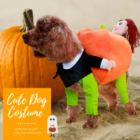 HalloPooch® Pumpkin Halloween Dog Costume