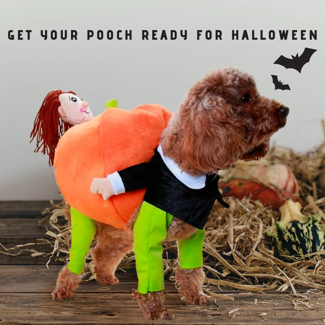 HalloPooch® Pumpkin Halloween Dog Costume