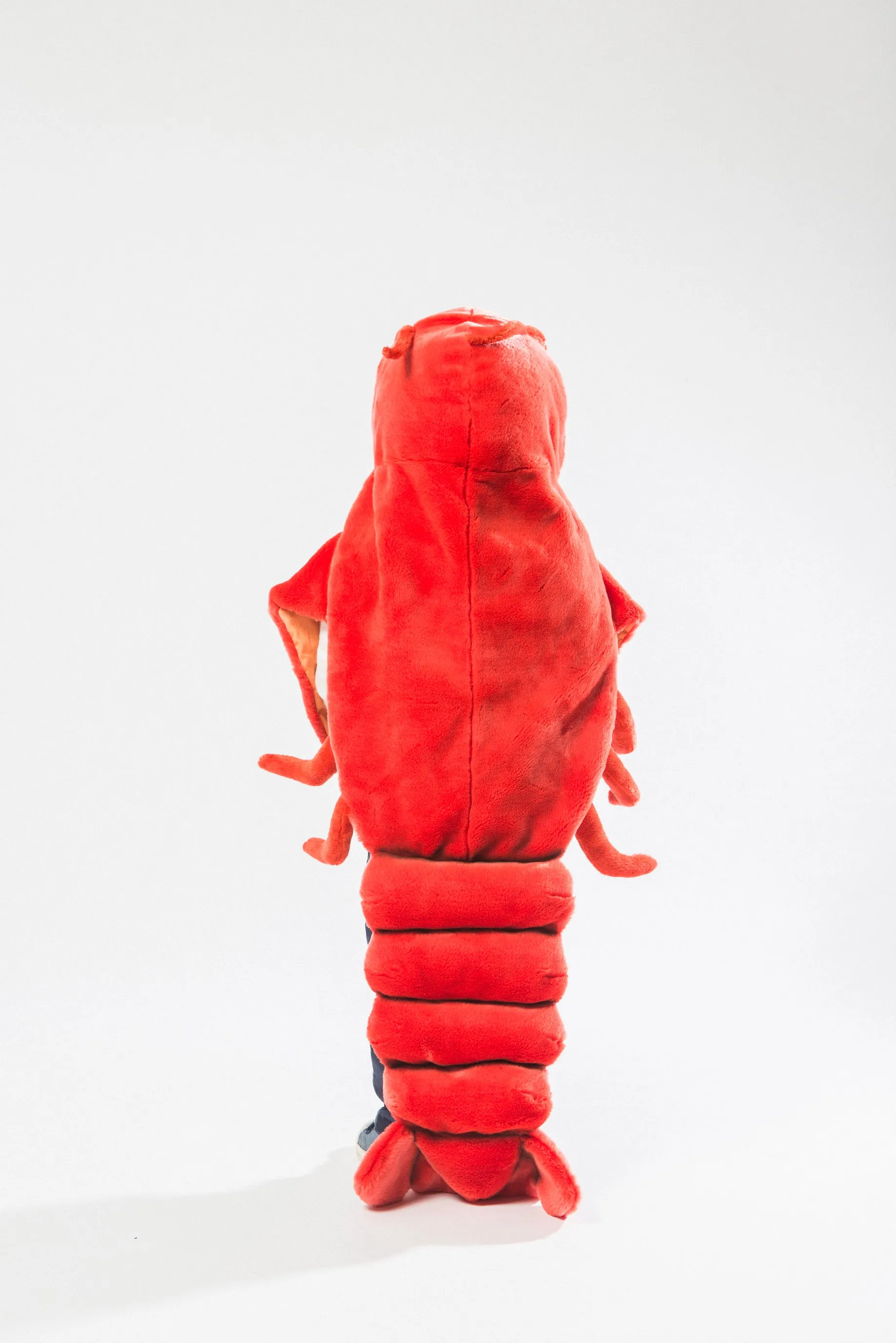 Lobster Costume