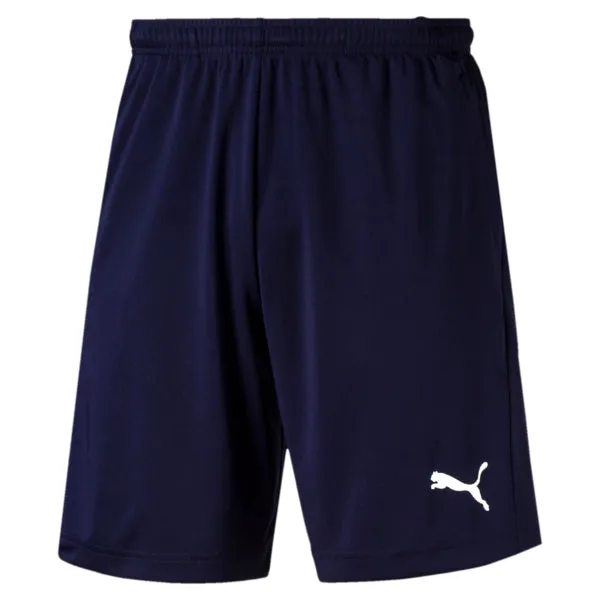 Puma Liga Training Shorts