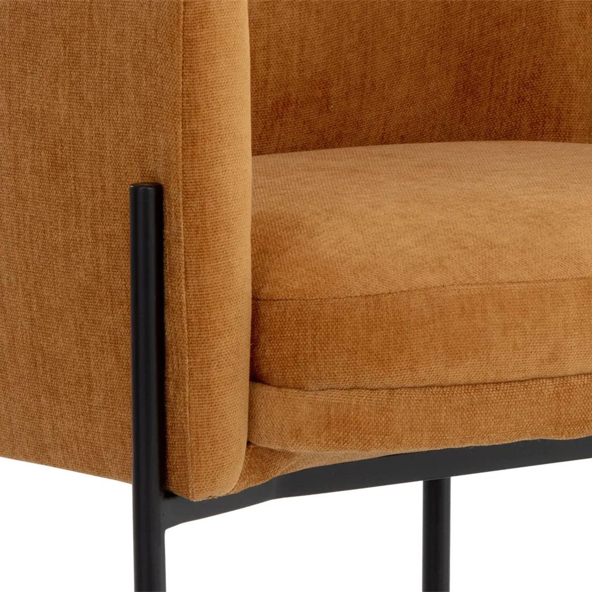 Richie Dining Armchair by Sunpan