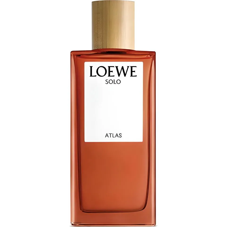 SOLO LOEWE ATLAS