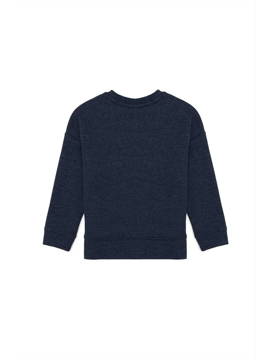 USPA Boys Sweatshirt Navy VR033 USPSS134